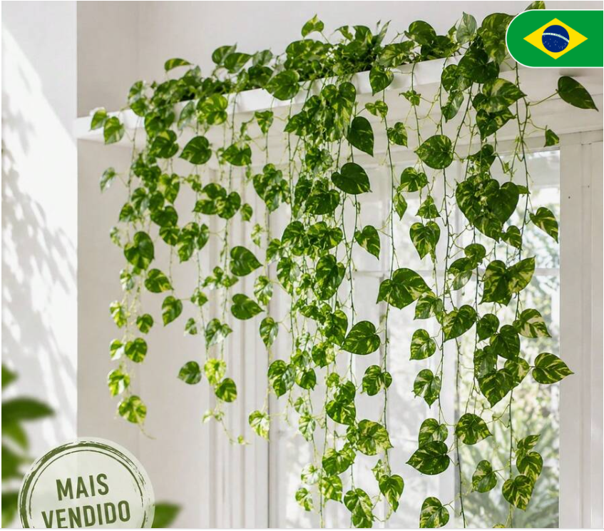 Shein-Casa e Decoração